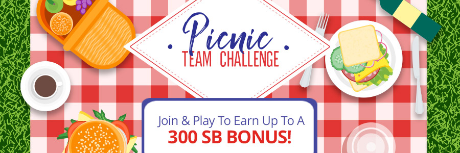 Picnic Team Challenge