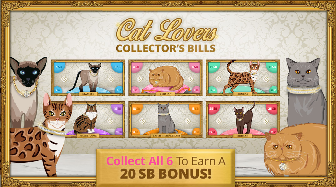 Cat Lovers Collector's Bills The Daily Swag
